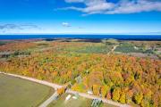 Top Harbor Springs