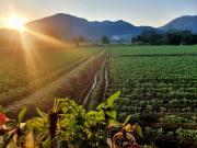 Top Ban Na Meng (1) Top Ban Na Meng (1)