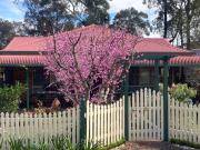Blue Gum Cottage on Bay