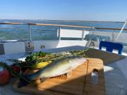 Top Monsaraz Top Monsaraz