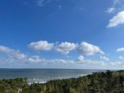 Top Dziwnówek Top Dziwnówek