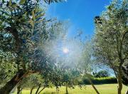 Top Salon-de-Provence