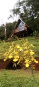 Top Marmelopolis