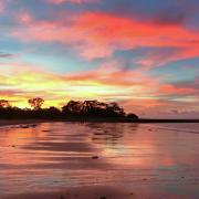 Top Wagait Beach Top Wagait Beach