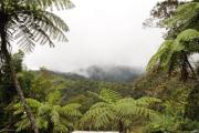Top Kundasang