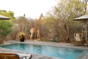 The Lazy Leopard Lodge