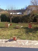 Top Potenza
