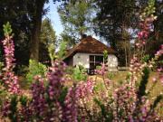Tiny House de Berken