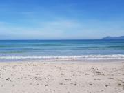 Ideal Property Mallorca - Dionis