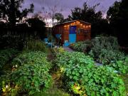 Gypsy Mama in Greyton