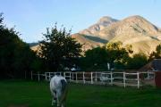 Top Greyton