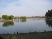 Top Caronno Pertusella