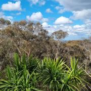 Thira in the Mountains