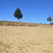 Top Lathum Top Lathum