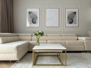 Top Jelenia Góra Top Jelenia Góra