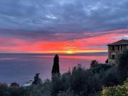 Top Camogli