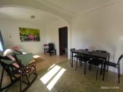 Top Silves