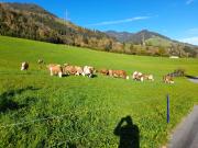 Top Bruck an der Großglocknerstraße