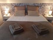 Le Palmier des Rochers