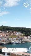 Top Scarborough