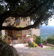 Casa incantevole in mezzo alla natura