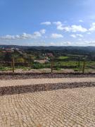 Top Silves