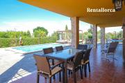 Top Alcudia