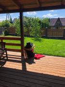 Top Goniadz Top Goniadz