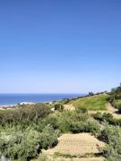 Top Silvi Marina Top Silvi Marina