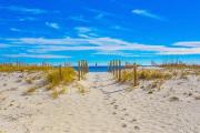 Top Gulf Shores