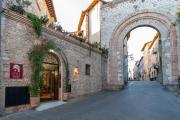 Top Assisi