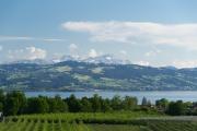 Top Kressbronn am Bodensee