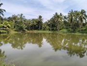 Top Raub Top Raub
