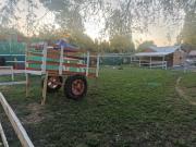 Top Linares Top Linares