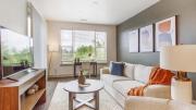 Top Longmont