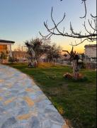 Top Tirana