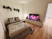 Exclusive apartment for families and business