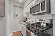1BR Modern & Chic Apt in Downtown Chicago - Dorchester 204