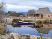 Douce Toison dOr avec clim