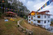 Top Rinchingpong