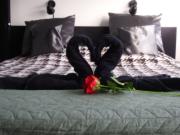 Top Lelystad Top Lelystad