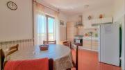 Top Novigrad Istria