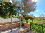 Top Paphos City
