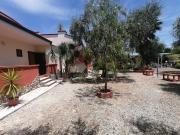 B&B Uliveto del Gargano