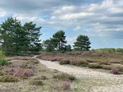 Gemütliche Ferienwohnung in Neu Kaliß