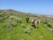 Pet friendly Home in Gran Canaria