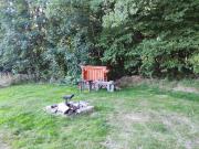 Top Dolní Dvořiště