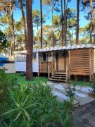 MH 278 les dunes de contis "domino"