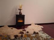 Top Buşteni Top Buşteni