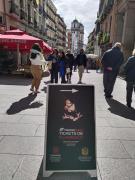 Top Madrid
